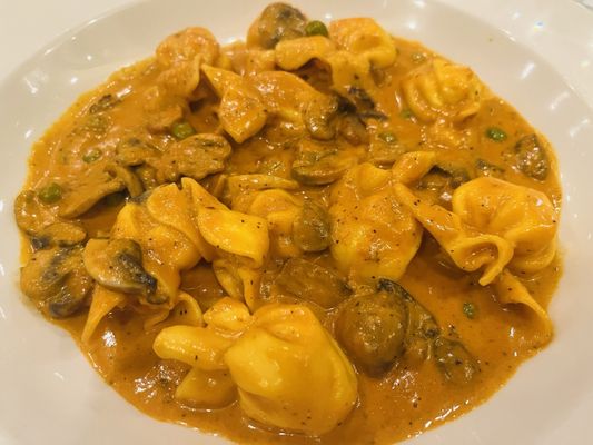 Via Garibaldi by null