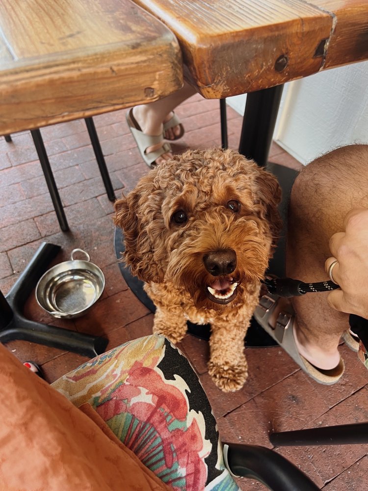 THE GROOMERIE Updated April 2024 Charlotte, North Carolina Pet