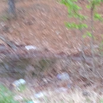 Star Plus Inn & Suites - Garbage, glass and sharp metal and polluted water - Hotels Near Me - Selmer, Tennessee Star Plus Inn & Suites - Garbage, glass and sharp metal and polluted water - Hotels Near Me - Selmer, Tennessee