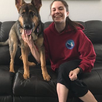 JM Dog Training - Dog Walkers Near Me