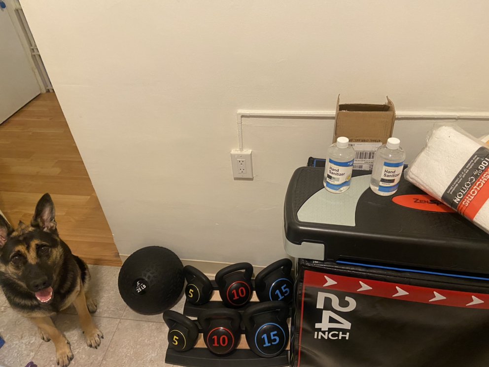 Leroc Health & Fitness Logo