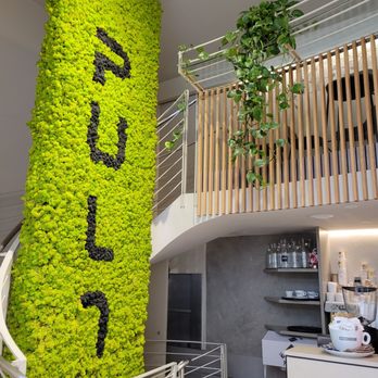 Pult - Live feature wall - Italian Near Me - Lucca, LU