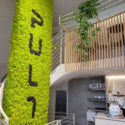 Pult - Live feature wall