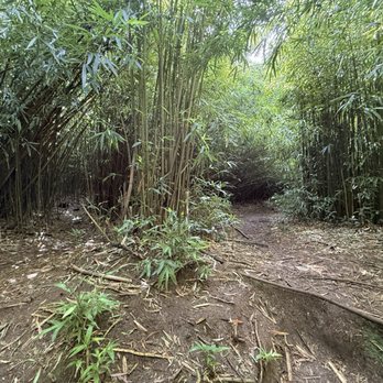 Judd Trail - Hiking Near Me - Honolulu, Hawaii