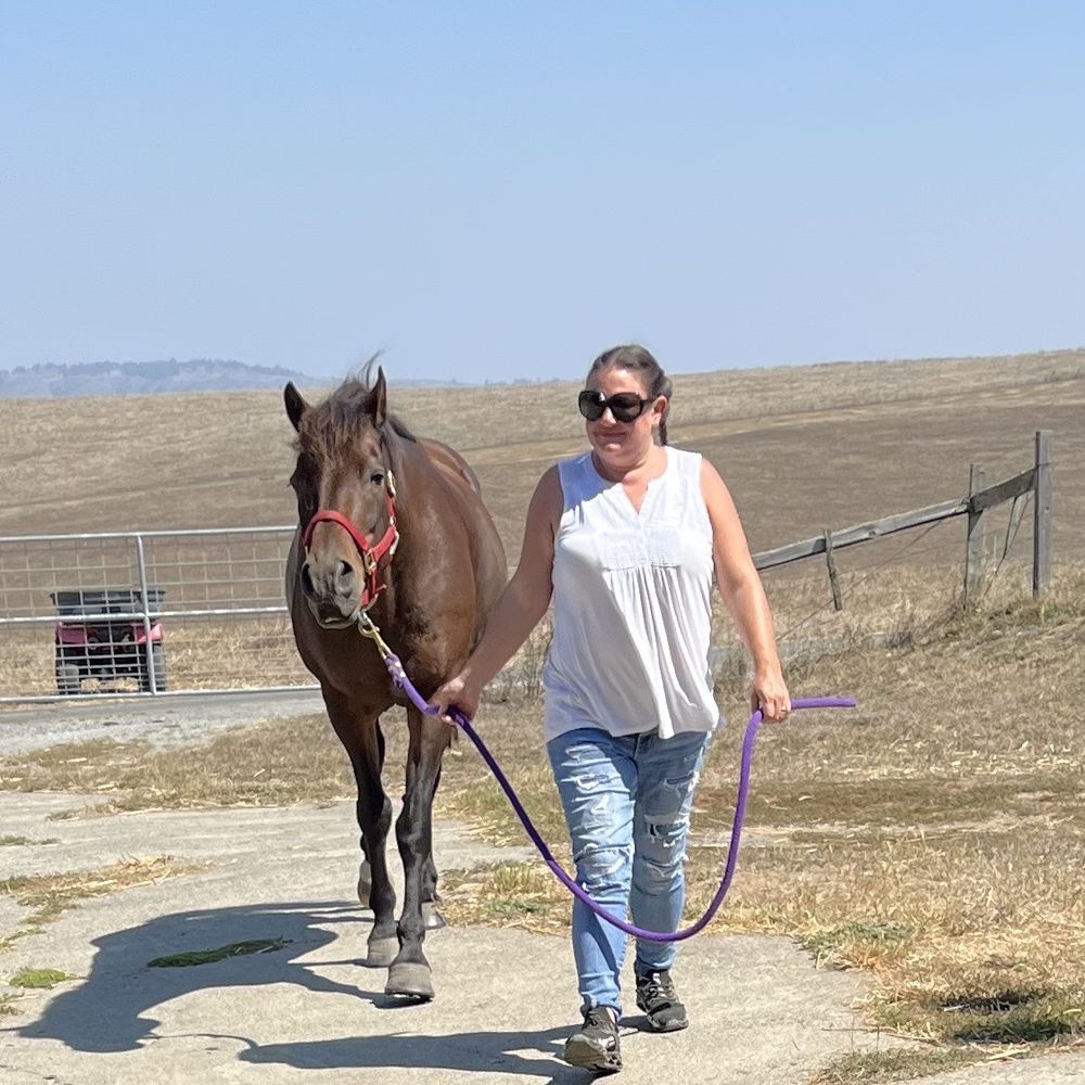 Olympia House Rehab - Equine Therapy - Rehabilitation Center Near Me - Petaluma, California Olympia House Rehab - Equine Therapy - Rehabilitation Center Near Me - Petaluma, California