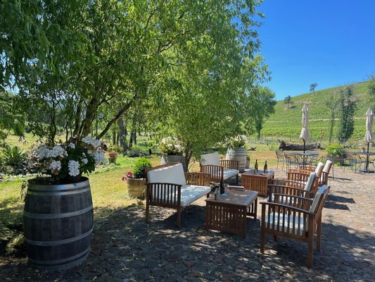 Maysara Winery by null