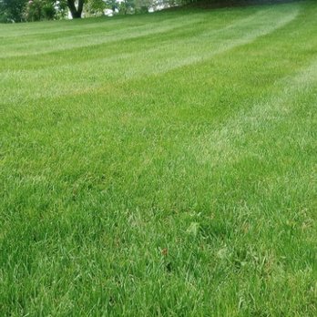 Currington Lawn Care - Lawn Services Near Me Currington Lawn Care - Lawn Services Near Me