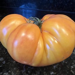 Kugel Farms