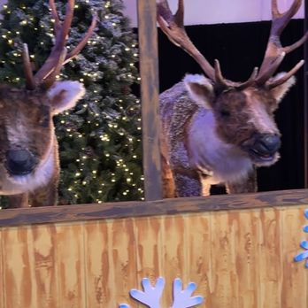 Snow Carnival - Indoor Playcenter Near Me - Henderson, Nevada