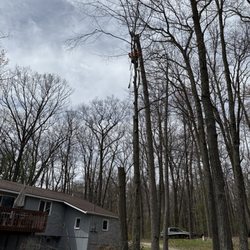 Jones Tree Service
