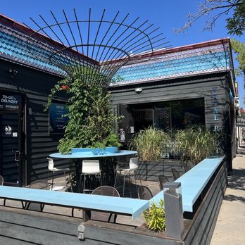 Vital Root - Outside - Vegetarian Near Me - Denver, Colorado