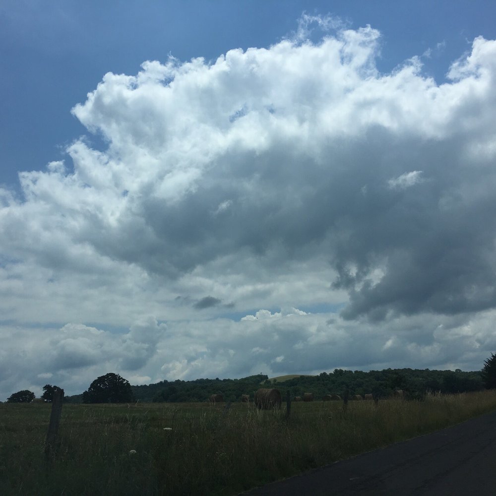 Arterra Wines - Wineries Near Me - Delaplane, Virginia