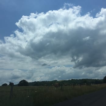Arterra Wines - Wineries Near Me - Delaplane, Virginia