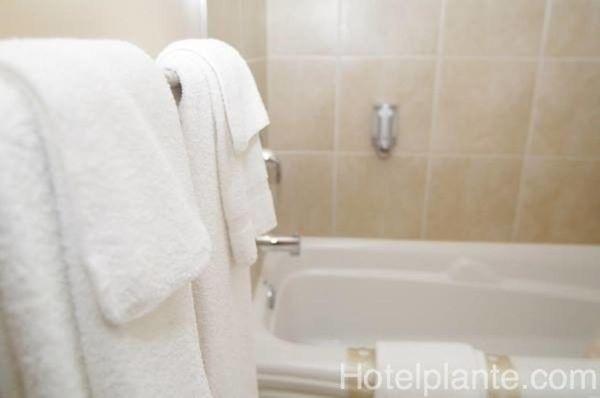Hôtel Plante by null