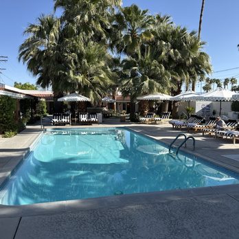 Dive Palm Springs - Hotels Near Me - Palm Springs, California Dive Palm Springs - Hotels Near Me - Palm Springs, California