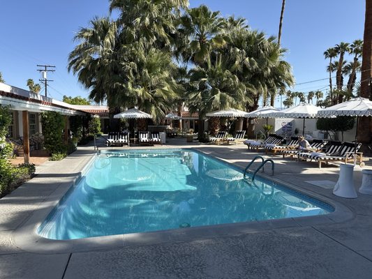 Dive Palm Springs by null