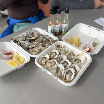 Alaskan Oyster Shack - Seafood Near Me - Ketchikan, Alaska Alaskan Oyster Shack - Seafood Near Me - Ketchikan, Alaska