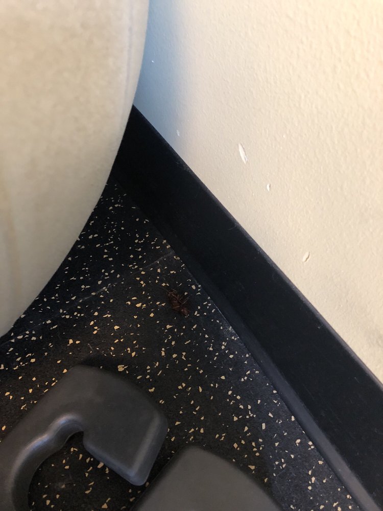 GOLD’S GYM 20 Photos & 72 Reviews Gyms 731 N Water St, Milwaukee