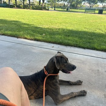 Content K9s - Pet Training Near Me - Las Vegas , Nevada