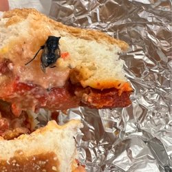 Naqs Halal Food - Fly in sandwich