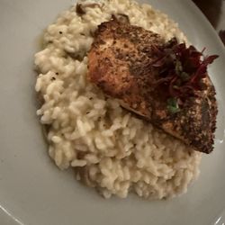 Harvest & Reel - Salmon with risotto
