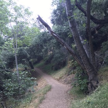 Michael D. Antonovich Trail - Peaceful and fresh path ... I went at 6am - Hiking Near Me - San Dimas, California