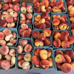 K & J Farm Market