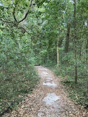 Fort Raleigh National Historic Site by null