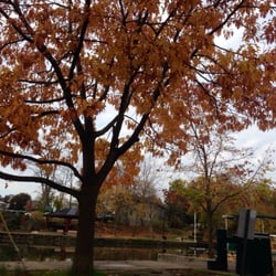 Nazareth College of Rochester