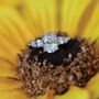 Photo of Farnan Jewelers