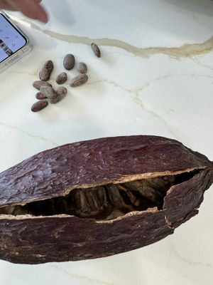 Ben B Coco Chocolate Factory by null