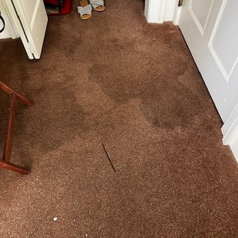 Planters Inn - No need for a welcome mat when this stain greets you at the door. - Hotels Near Me - Savannah, Georgia Planters Inn - No need for a welcome mat when this stain greets you at the door. - Hotels Near Me - Savannah, Georgia