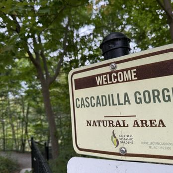 Cascadilla Gorge Trail - Hiking Near Me - Ithaca, New York