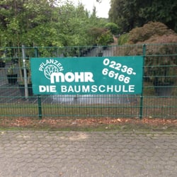 Dietrich Mohr