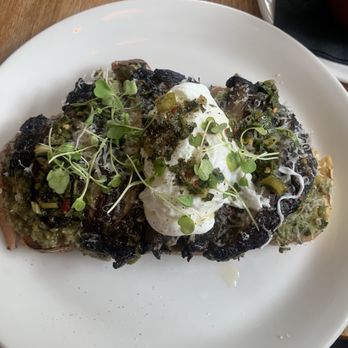 Surveyor - Shrooms - American Near Me - Washington, DC, District of Columbia