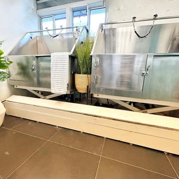 South County Grooming - Bathing Room - Pet Groomers Near Me - San Clemente, California South County Grooming - Bathing Room - Pet Groomers Near Me - San Clemente, California