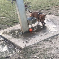 Sylvia Gibbs Park - Fresh water!