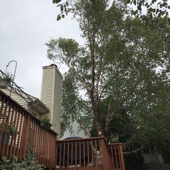 Monster - Cleared 2 story branches away from chimney-by hand! - Tree Services Near Me - Doylestown, Pennsylvania