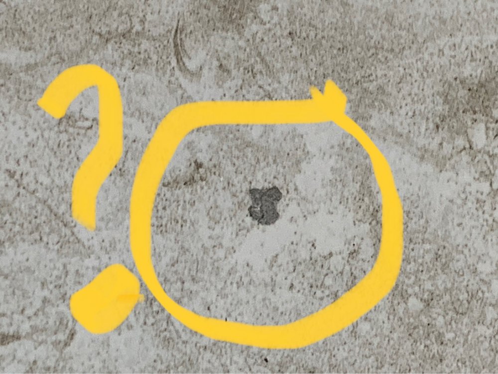 Slide of New World Builders