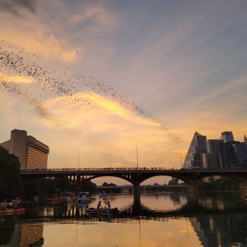 Capital Cruises - Boat Charters Near Me - Austin, Texas