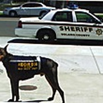Executive K-9 - Pet Training Near Me - Vacaville, California Executive K-9 - Pet Training Near Me - Vacaville, California