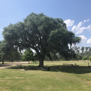 Fontainebleau State Park - Parks Near Me - Mandeville, Louisiana