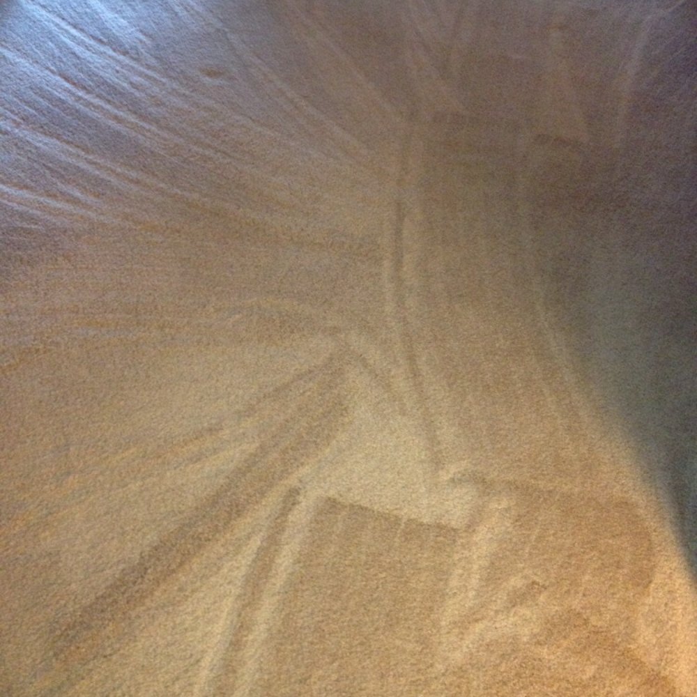 This is the following day, carpet is SO FLUFFY!!!!!! This is the following day, carpet is SO FLUFFY!!!!!!