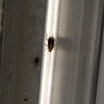Affordable Self Storage - Friendly roaches! - Self Storage Near Me - Everett, Washington