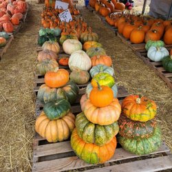 Merk Farms