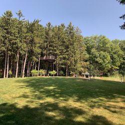 Whiting Forest of Dow Gardens