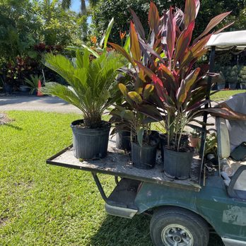 Sunkissed Lawn Care Services - Plant shopping for clients - Lawn Services Near Me Sunkissed Lawn Care Services - Plant shopping for clients - Lawn Services Near Me