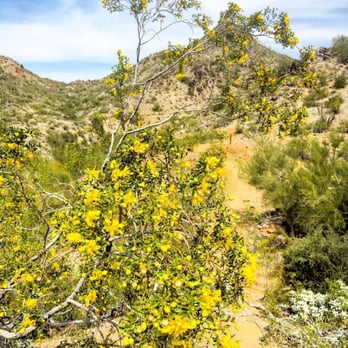 Piestewa Peak - At Squaw Peak - Parks Near Me - Phoenix, Arizona Piestewa Peak - At Squaw Peak - Parks Near Me - Phoenix, Arizona