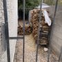 Photo of Allied Charcoal & Wood Products