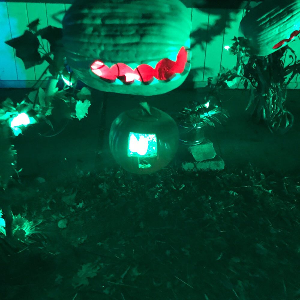 Pumpkin Nights - Festivals Near Me - Auburn, California